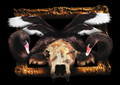 Buffalo Wings Art Print