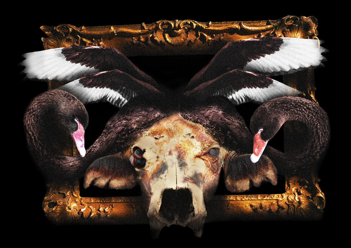 Buffalo Wings Art Print